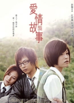 爱情故事(2009)