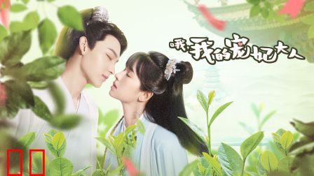 哦,我的宠妃大人