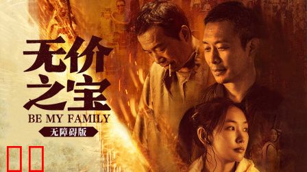 无价之宝无障碍版