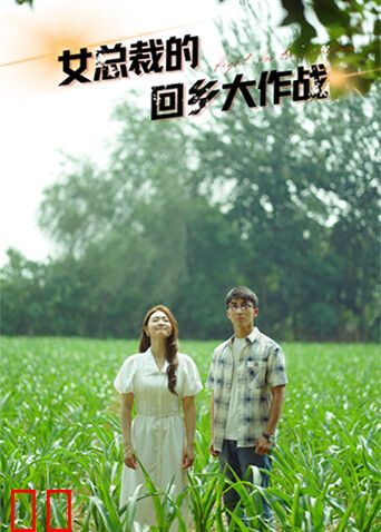 女总裁的回乡大作战