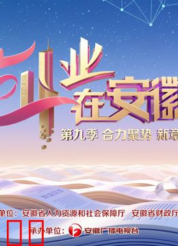 创业在安徽第九季