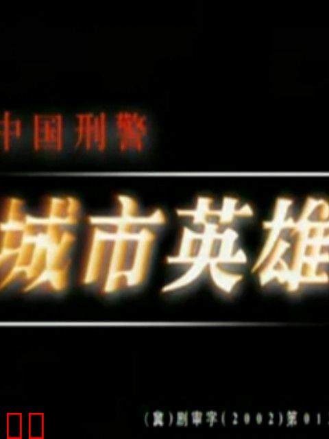 中国刑警之城市英雄
