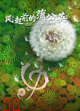 风起前的蒲公英