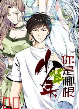 少年，你是哪根草动态漫画