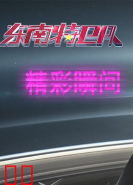 东南特卫队精彩瞬间