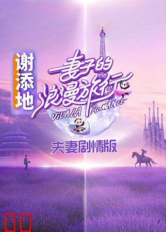 妻子的浪漫旅行夫妇剧情版