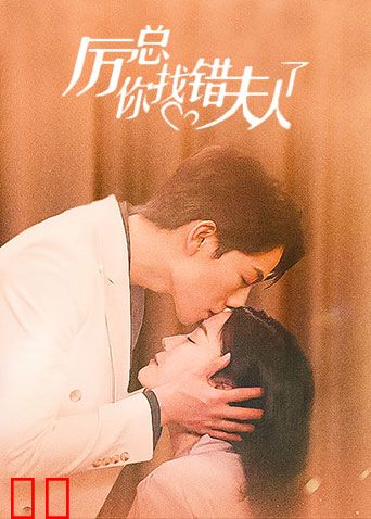 厉总，你找错夫人了