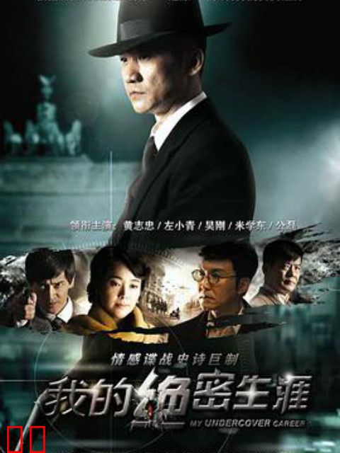 我的绝密生涯