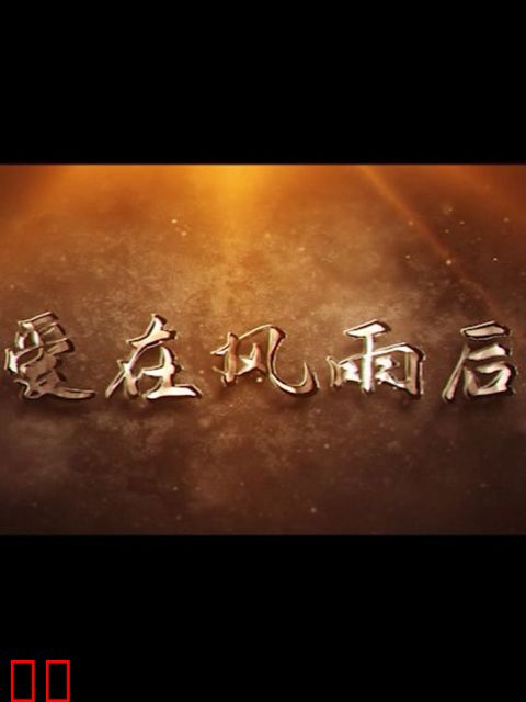 爱在风雨后