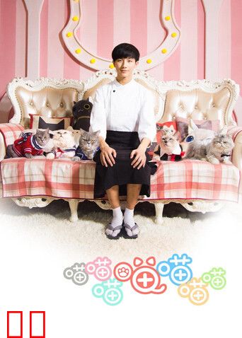 喵喵喵喵喵喵喵