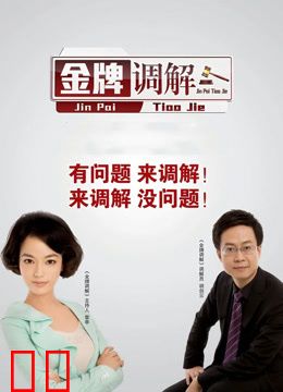 金牌调解