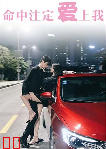 命中注定爱上我