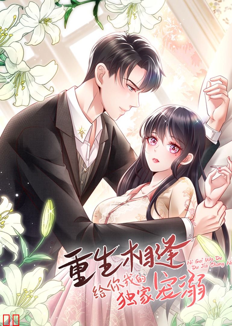 重生相逢：给你我的独家宠溺·动态漫