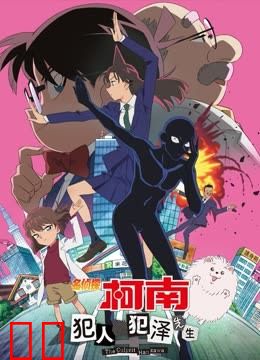 名侦探柯南犯人犯泽先生普通话