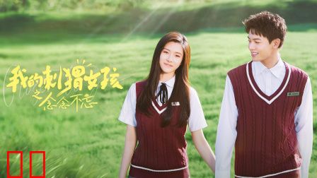 我的刺猬女孩之念念不忘