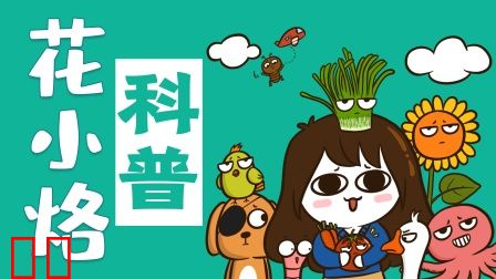 花小烙的知识科普