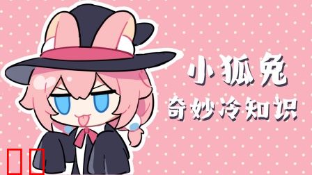 小狐兔奇妙冷知识