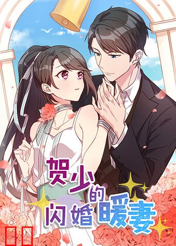 贺少的闪婚暖妻