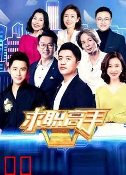 求职高手第二季