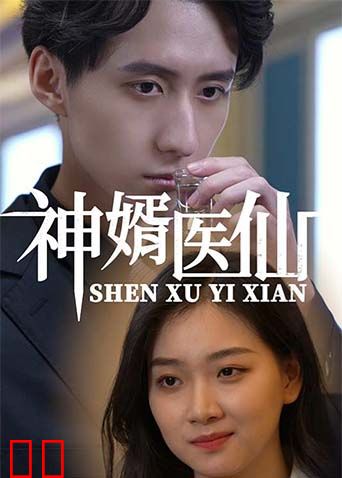 神婿医仙