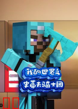 我的世界之史蒂夫骑士团