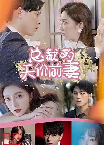 总裁的天价前妻