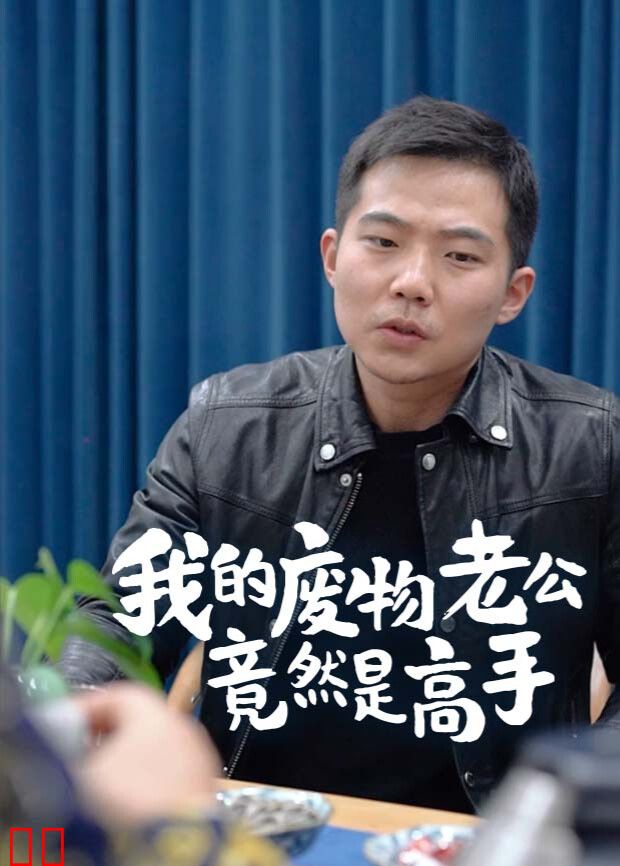 我的废物老公竟然是高手