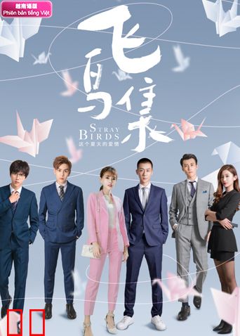 飞鸟集越南语版