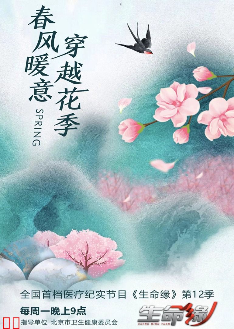 生命缘第十二季