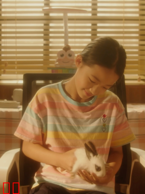 我家来了只兔子