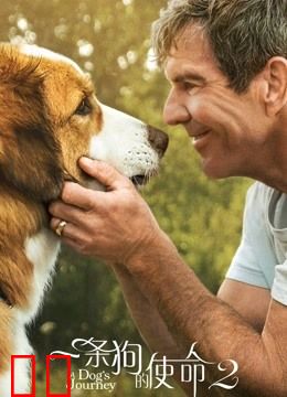 一条狗的使命2（普通话）