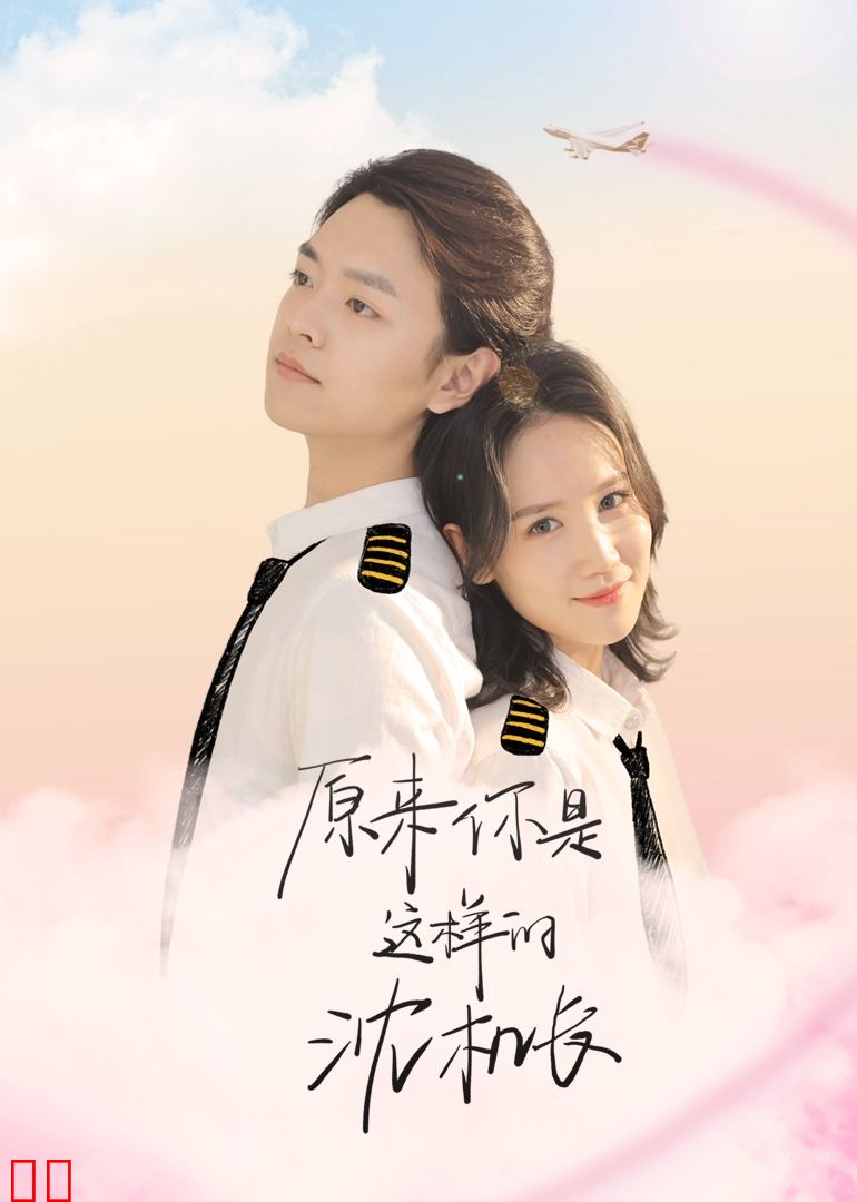 原来你是这样的沈机长