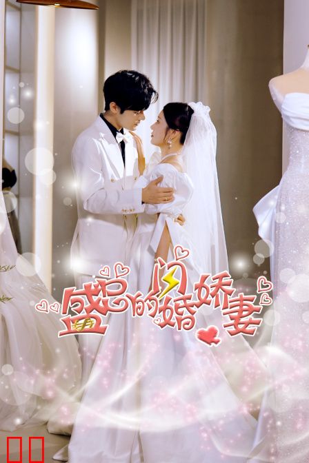 盛总的闪婚娇妻