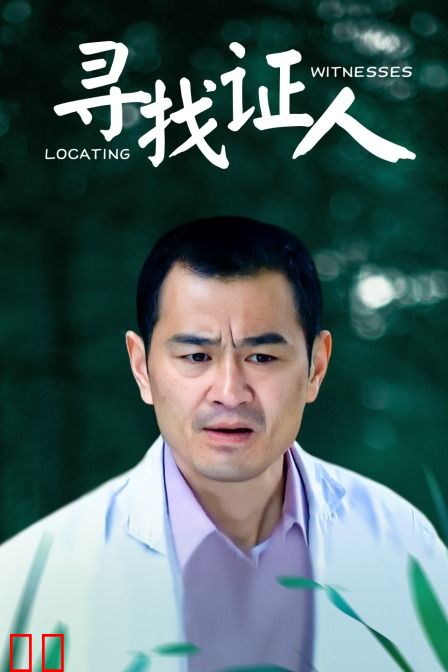 寻找证人