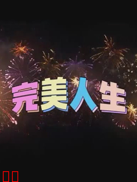 完美人生
