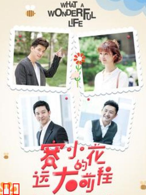 赛小花的远大前程