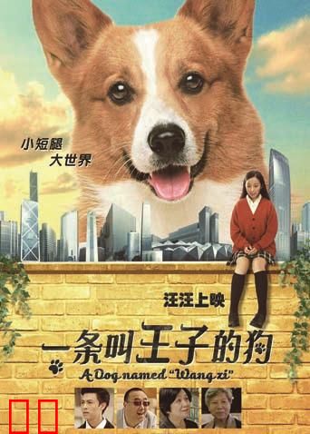 一条叫王子的狗