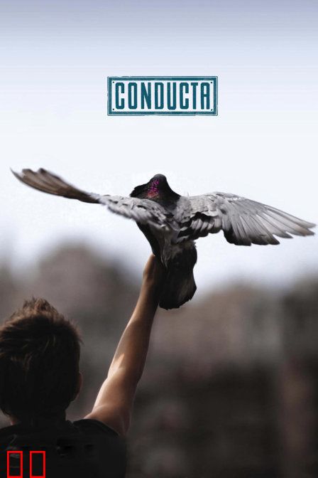 飞不起来的童年