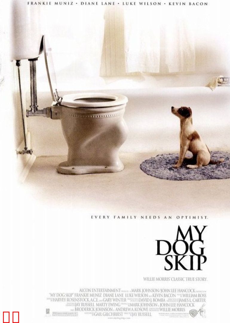 我的小狗斯齐普