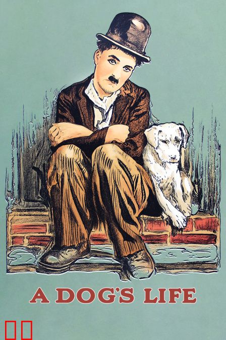 狗的生活