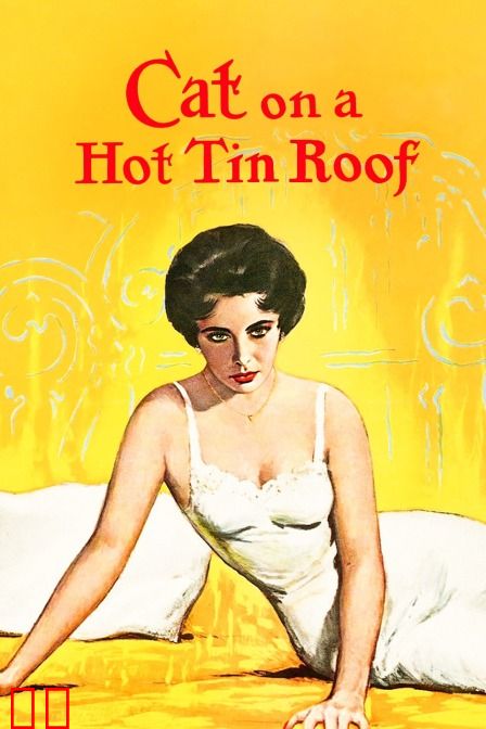 热铁皮屋顶上的猫