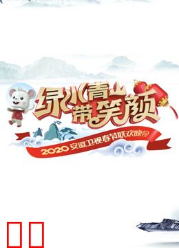 2020安徽卫视春晚