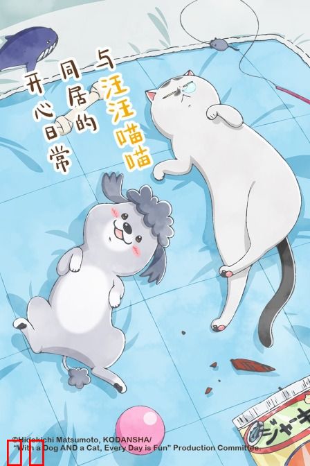 与汪汪喵喵同居的开心日常