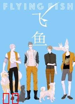 飞鱼