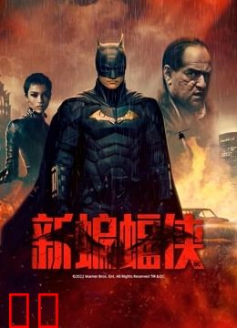 新蝙蝠侠
