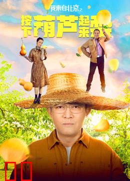 我来自北京之按下葫芦起来梨