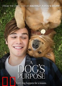 一条狗的使命（普通话）
