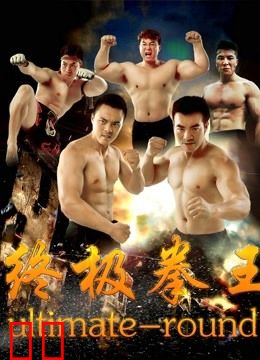 终极拳王