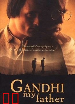 我的父亲甘地