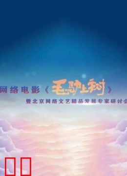 《毛驴上树》研讨会